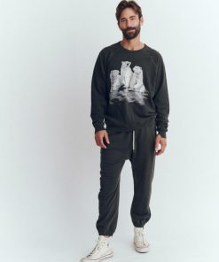 Truefitco.shop9c914c4e25 1